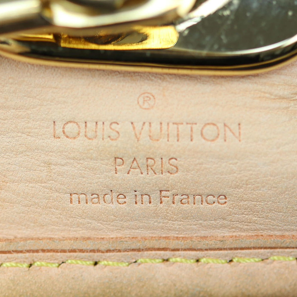 Louis Vuitton Garment Cover Monogram