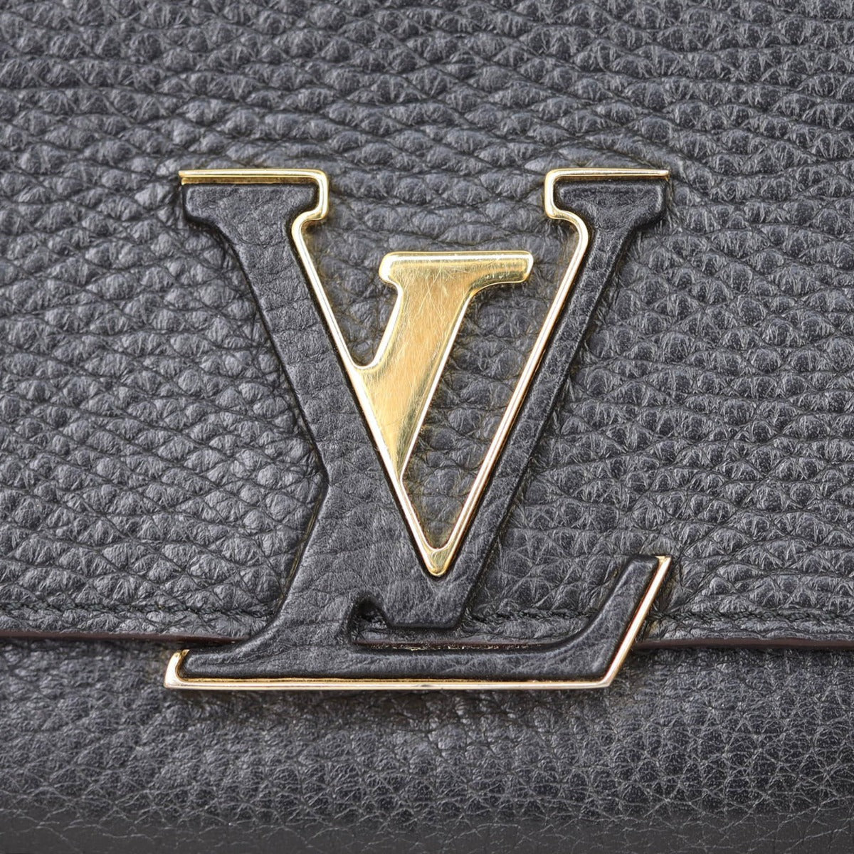Louis Vuitton Capucines Long Wallet