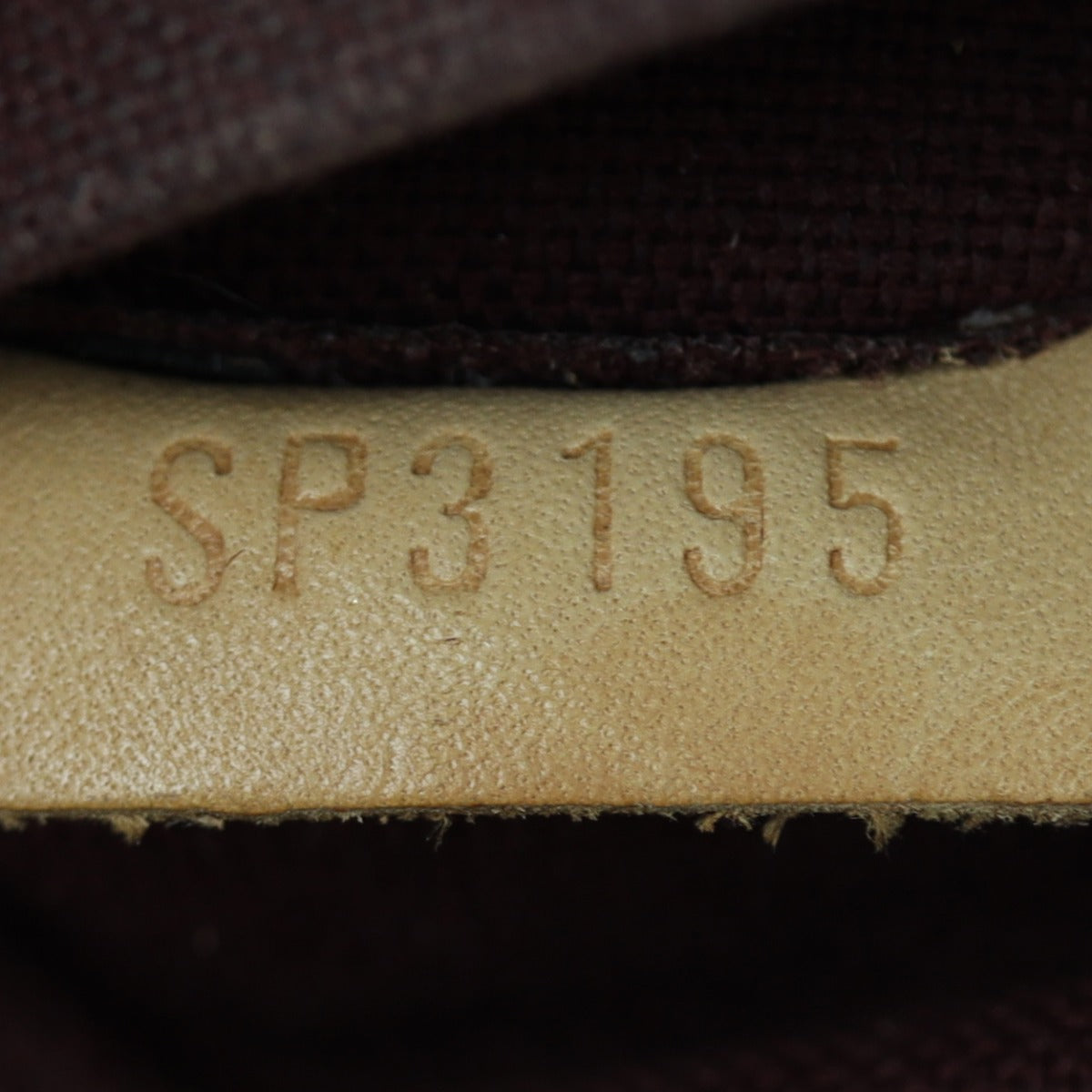 Louis Vuitton Segur Monogram