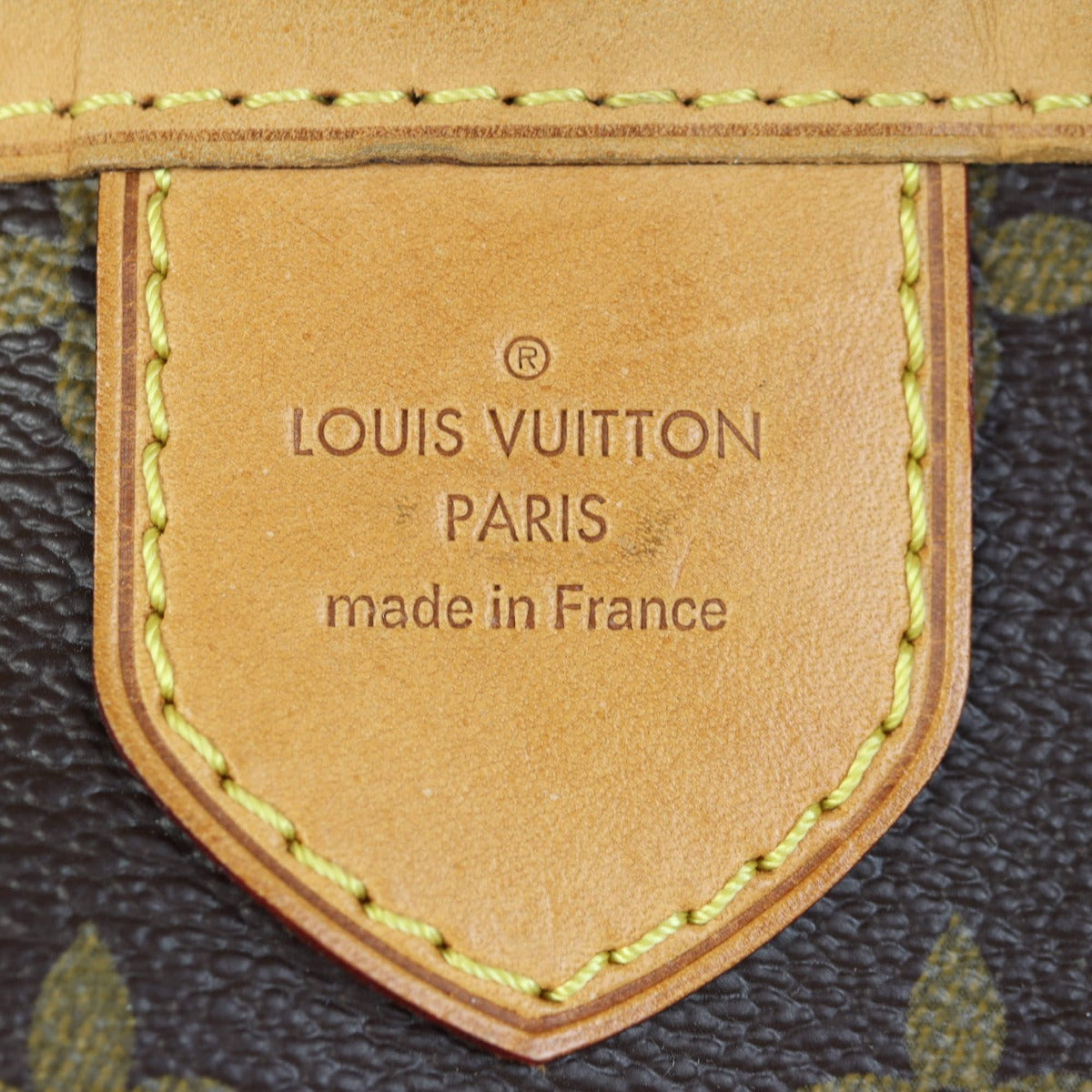 Louis Vuitton Delightful MM Monogram