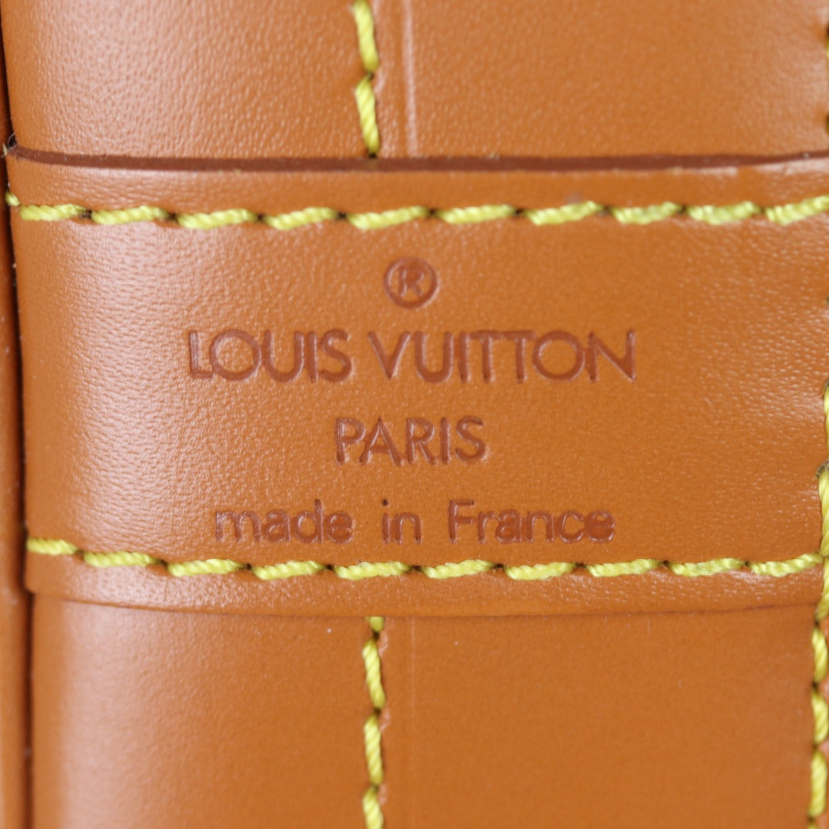 Louis Vuitton Noe Epi