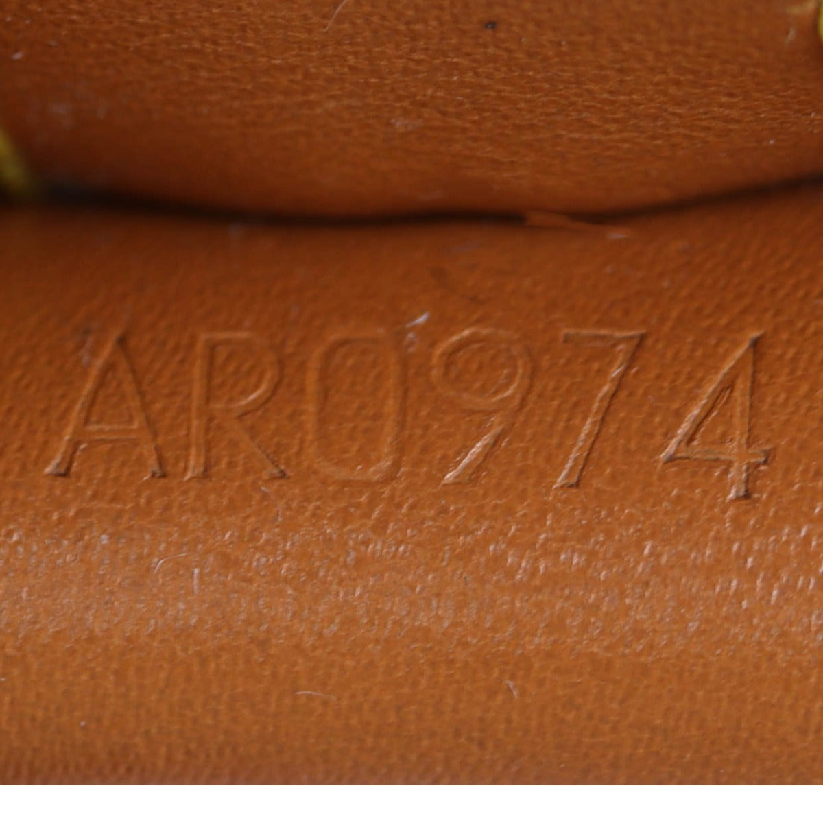 Louis Vuitton Noe Epi