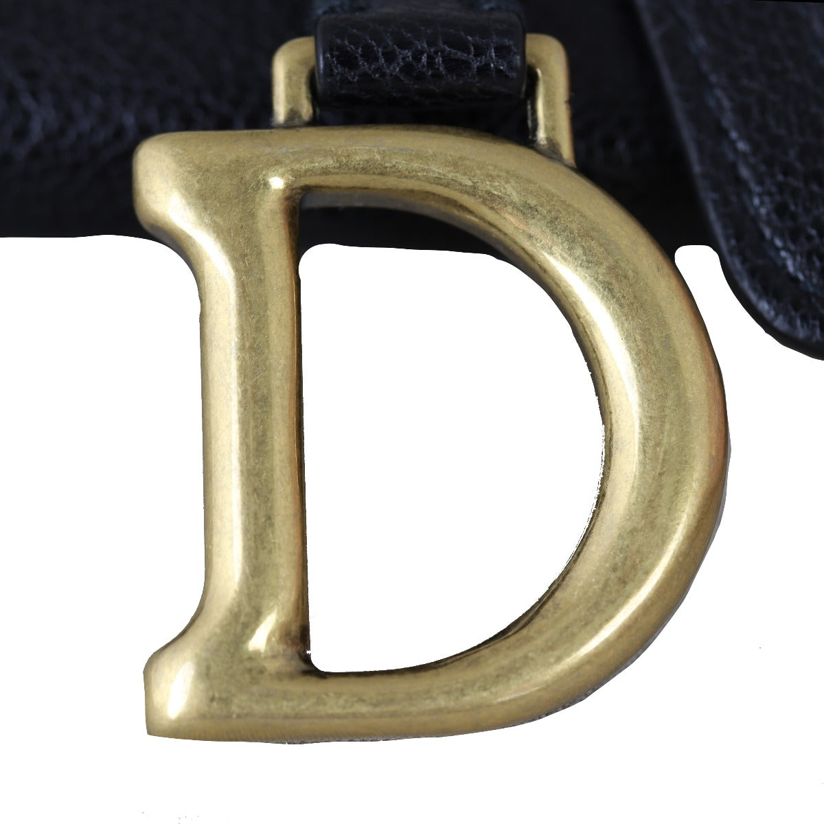 Dior Saddle Pouch Nano
