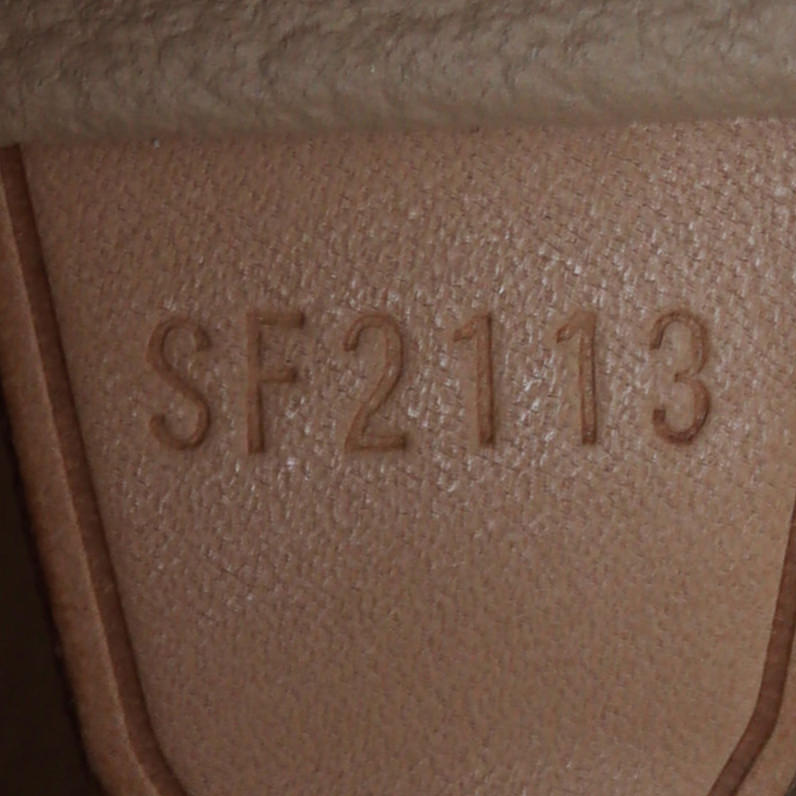 Louis Vuitton Petit Bucket Bag Monogram