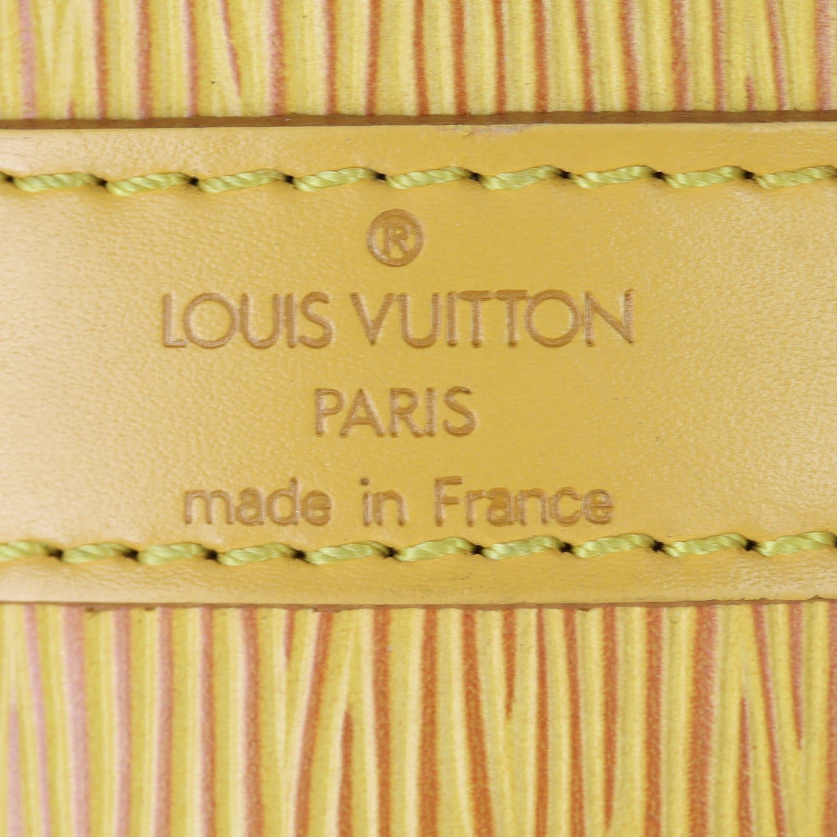 Louis Vuitton Petit Noe Epi
