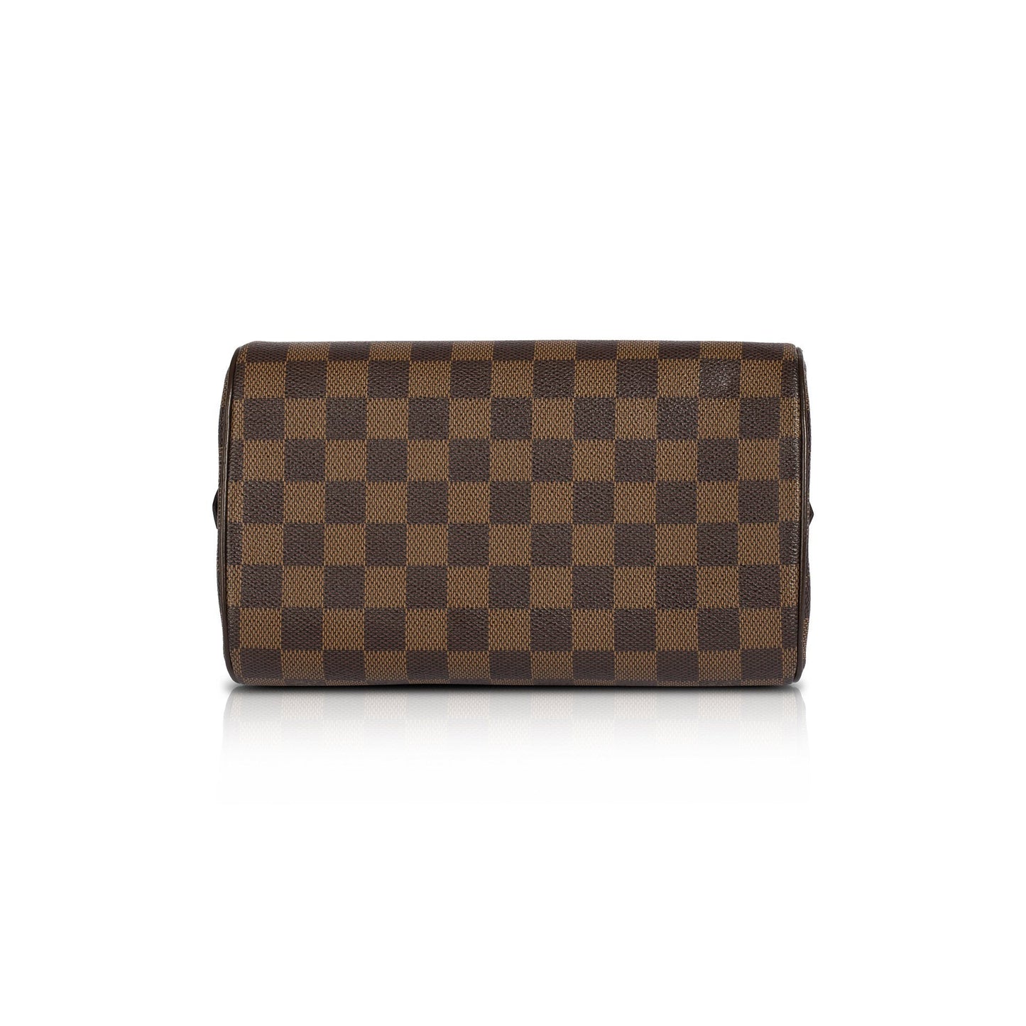 Louis Vuitton Damier Ebene Mini Ribera Bag