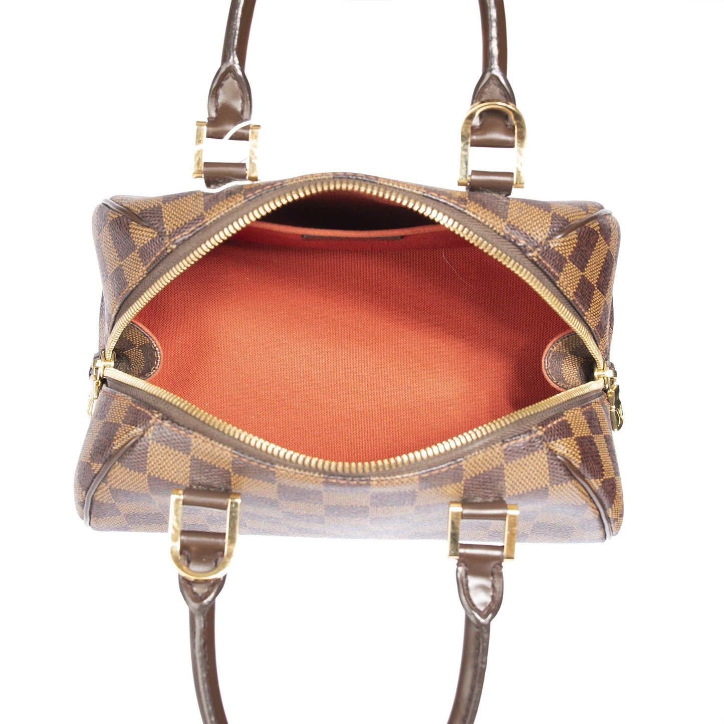 Louis Vuitton Damier Ebene Mini Ribera Bag