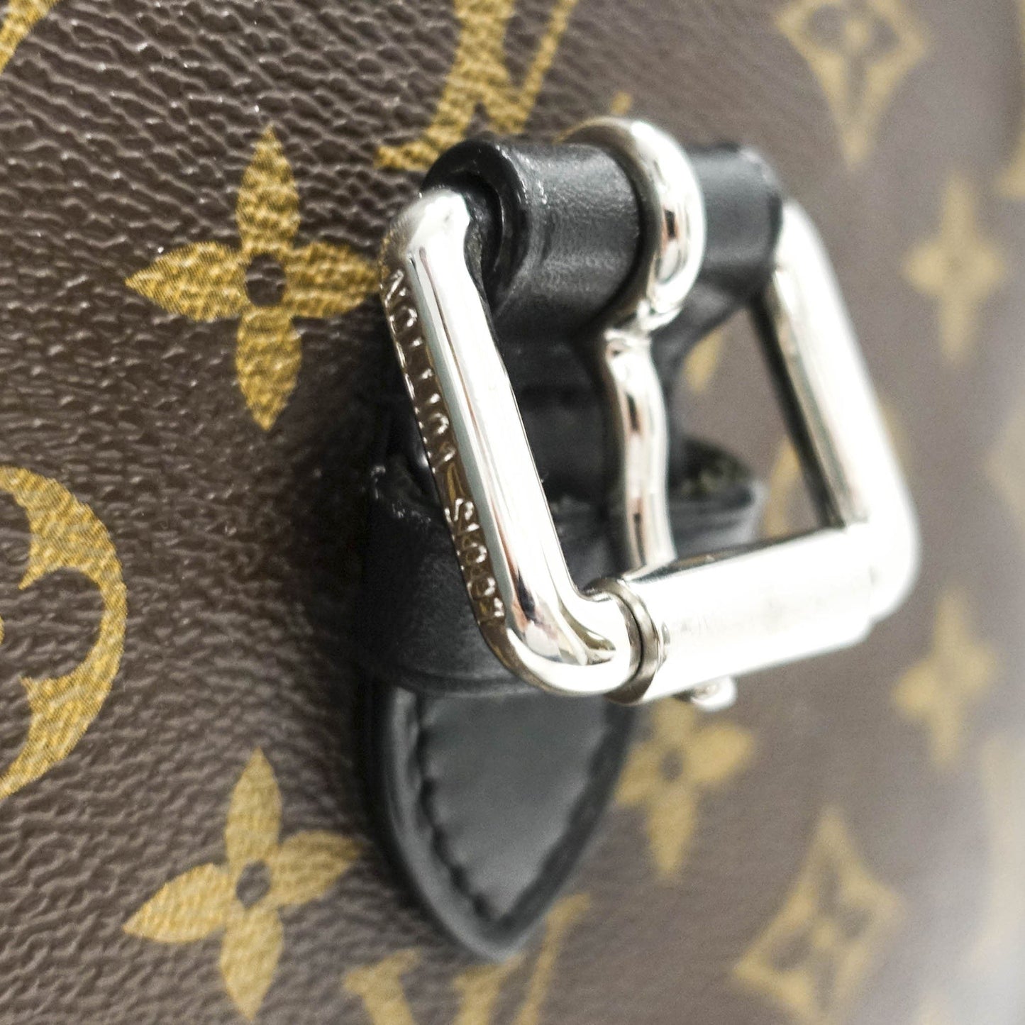 Louis Vuitton Monogram Macassar Palk Backpack
