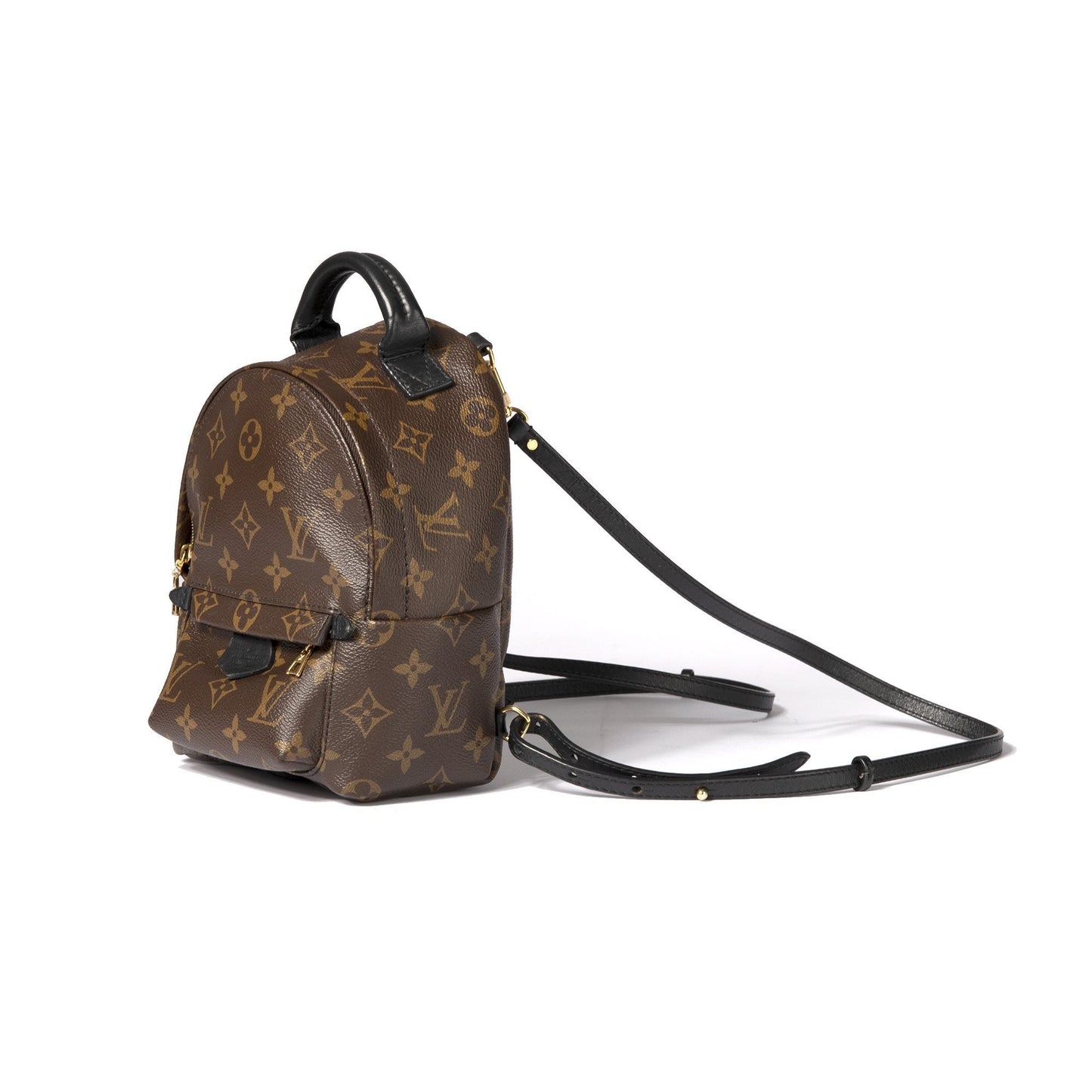 Louis Vuitton Monogram Palm Springs Mini Backpack