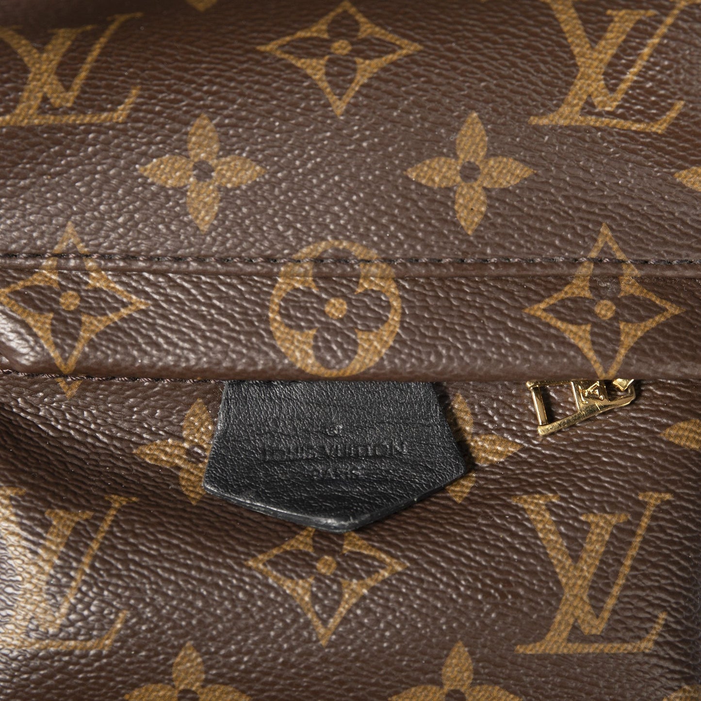 Louis Vuitton Monogram Palm Springs Mini Backpack
