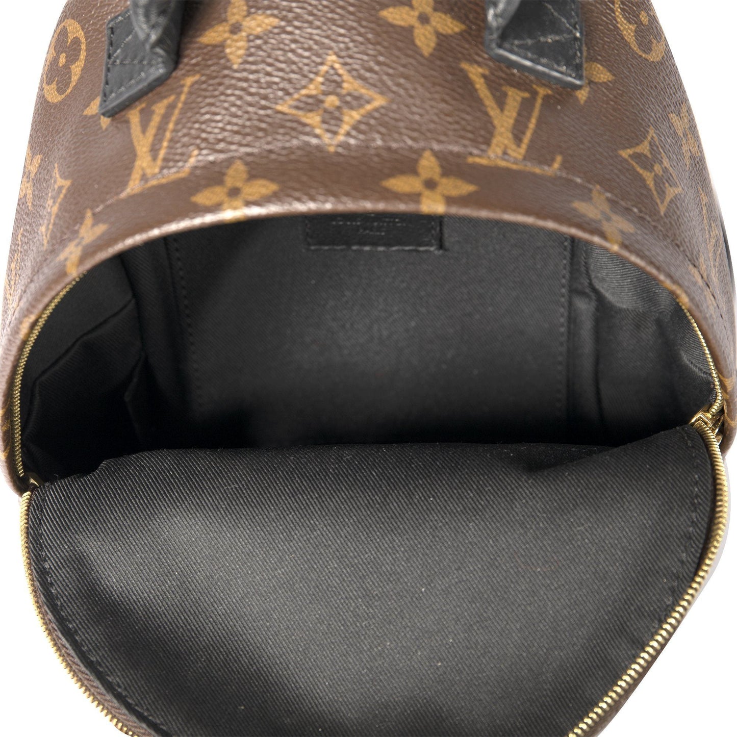 Louis Vuitton Monogram Palm Springs Mini Backpack