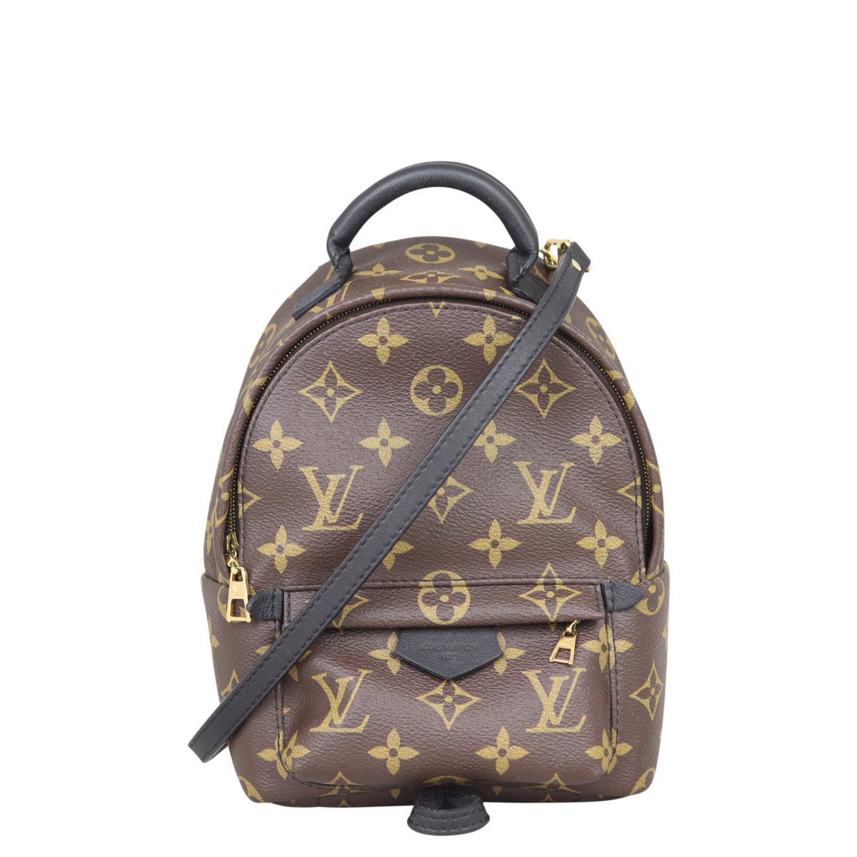 Louis Vuitton Palm Springs Mini Backpack Monogram