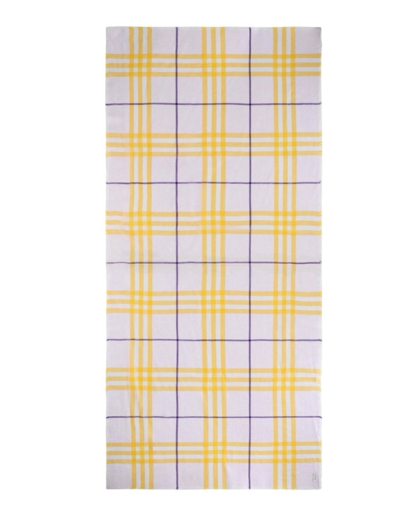 Luxury Burberry Checked Wool Scarf Womens 8079704