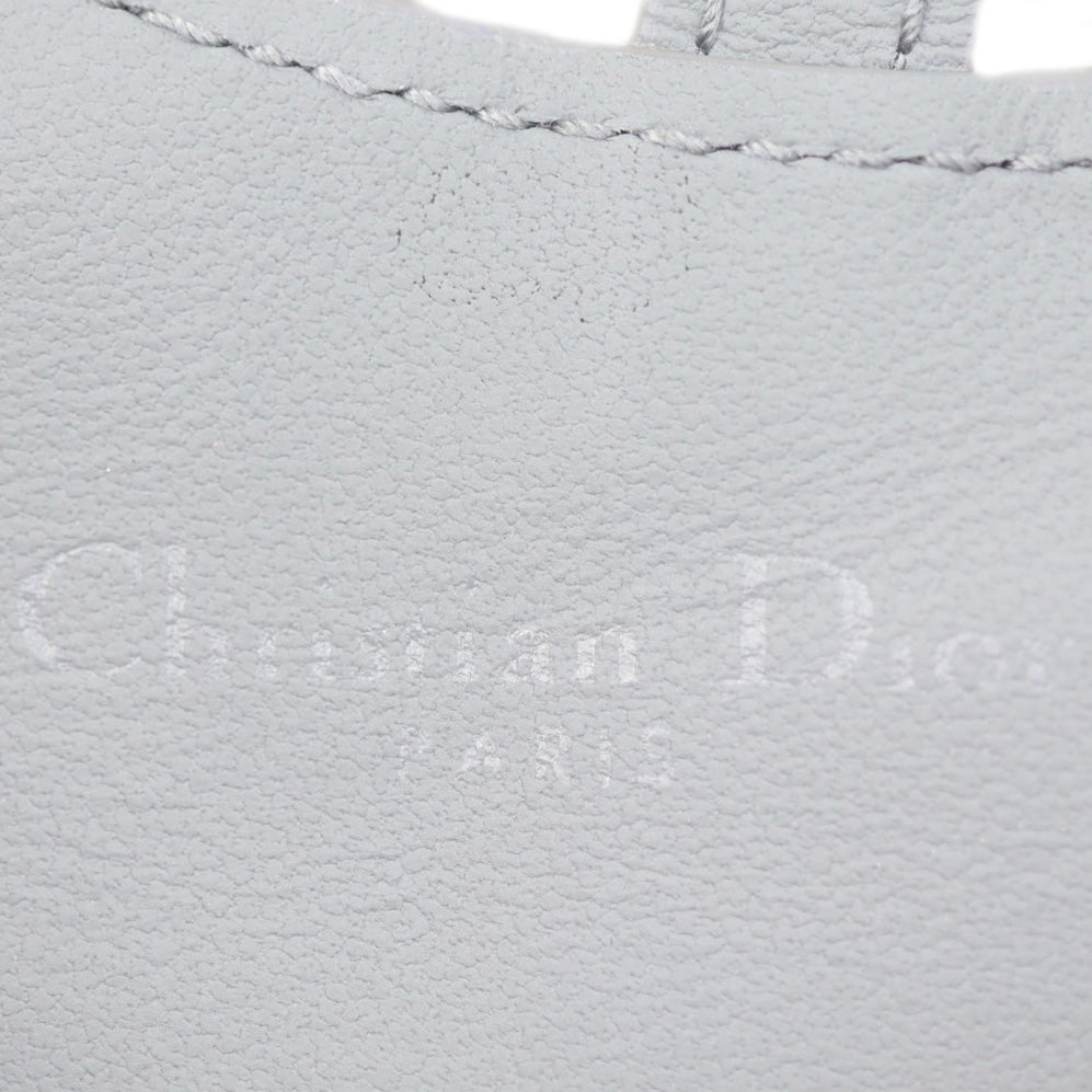 Dior Ultramatte Saddle Pouch Nano