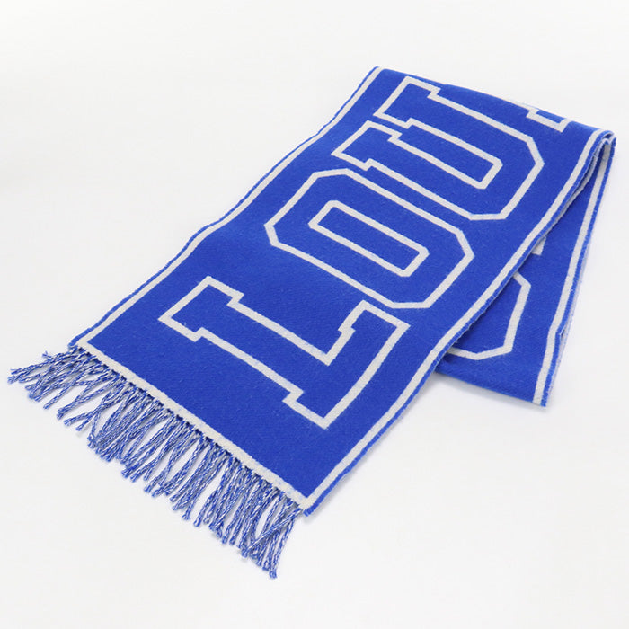 LOUIS VUITTON M71318 muffler Echarpe City Scarf wool,cashmere blue mens